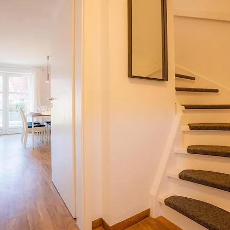 Hausteil 30 Strandflieder Id 461